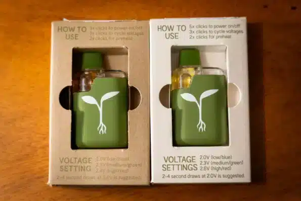 Raw Garden Disposables 2026: Best Live Resin Vape Pens & Reviews